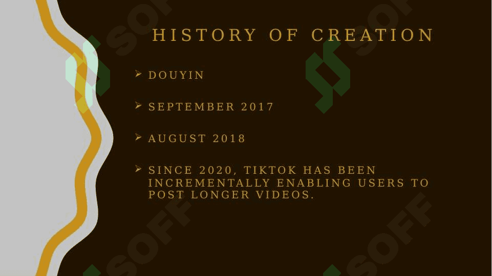 social platform tik tok 4
