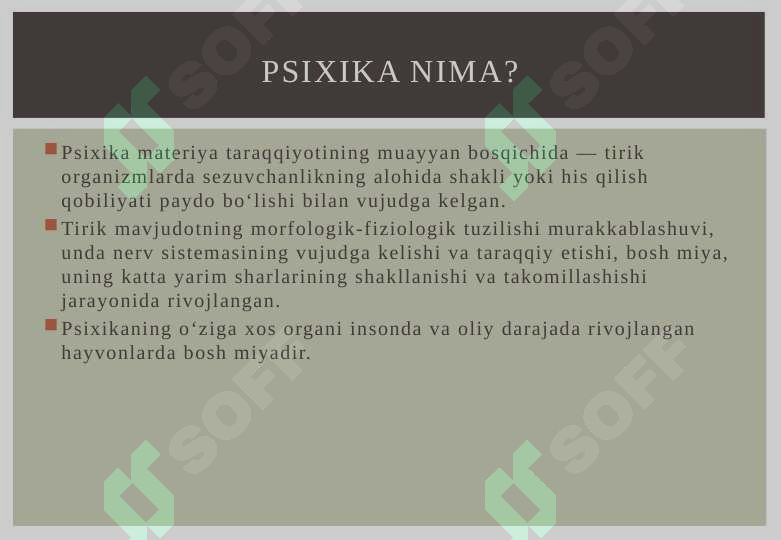 Preview 5