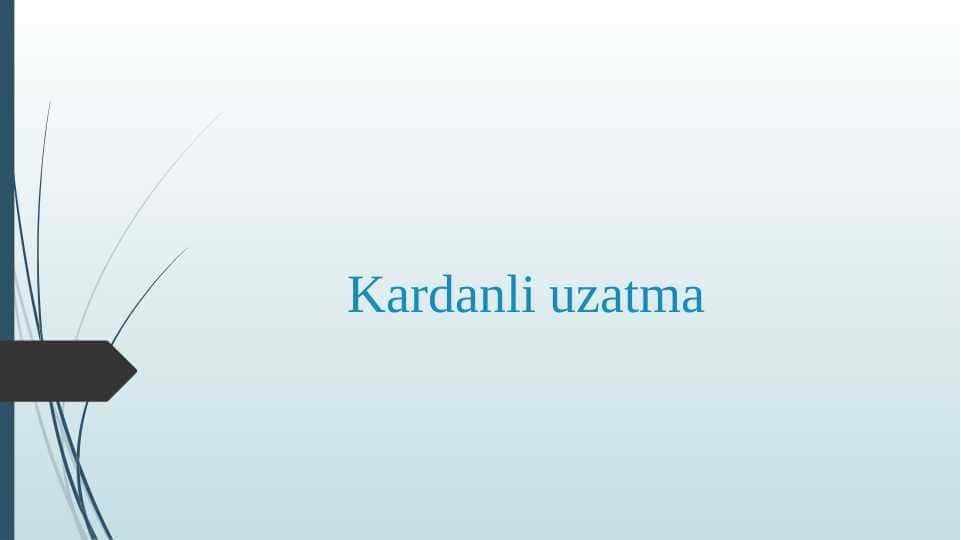 Kardanli uzatma