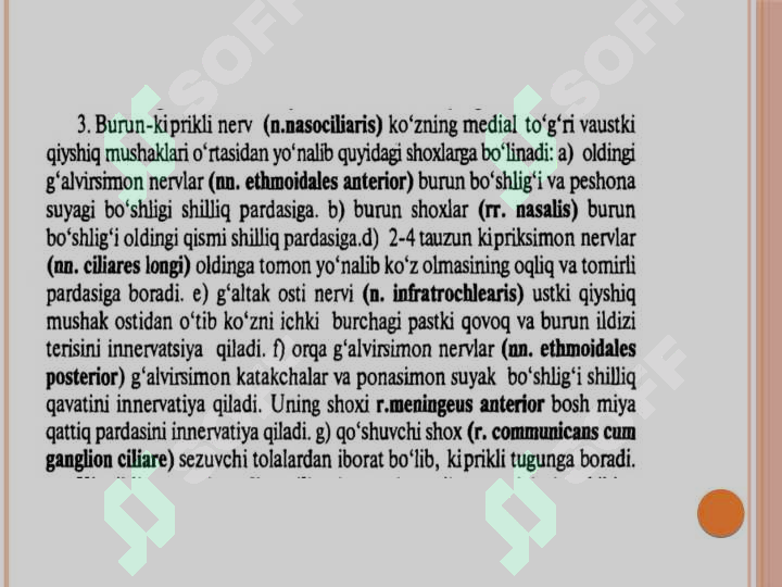 Preview 7