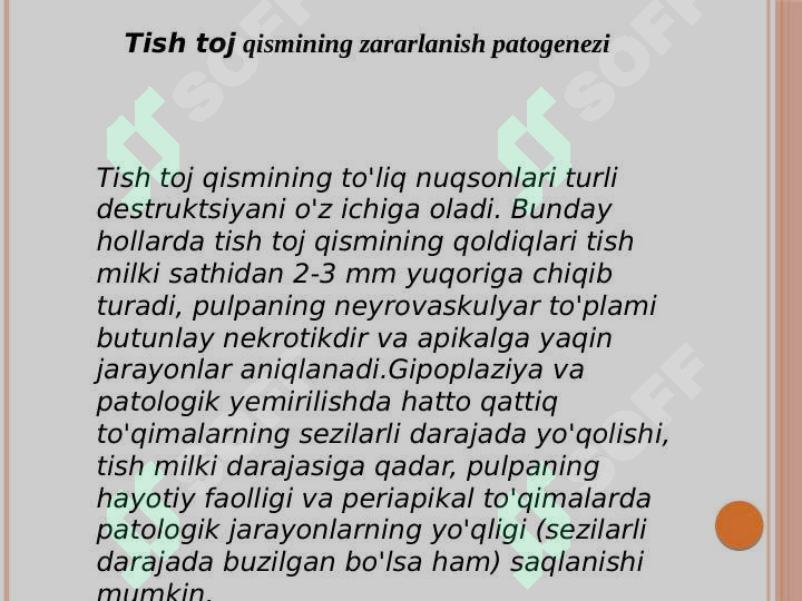 Preview 8