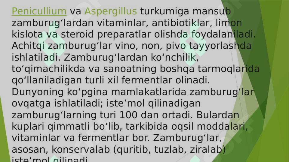 Preview 7