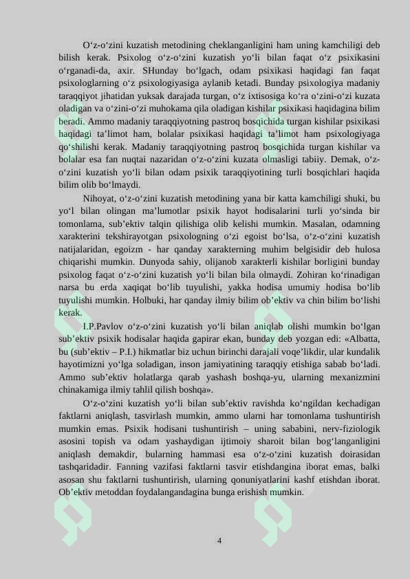 Preview 4