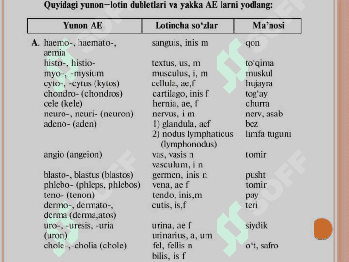 Yunon-lotin dubletlari va yakka AE lari  mavzusida test topshiriqlari 3