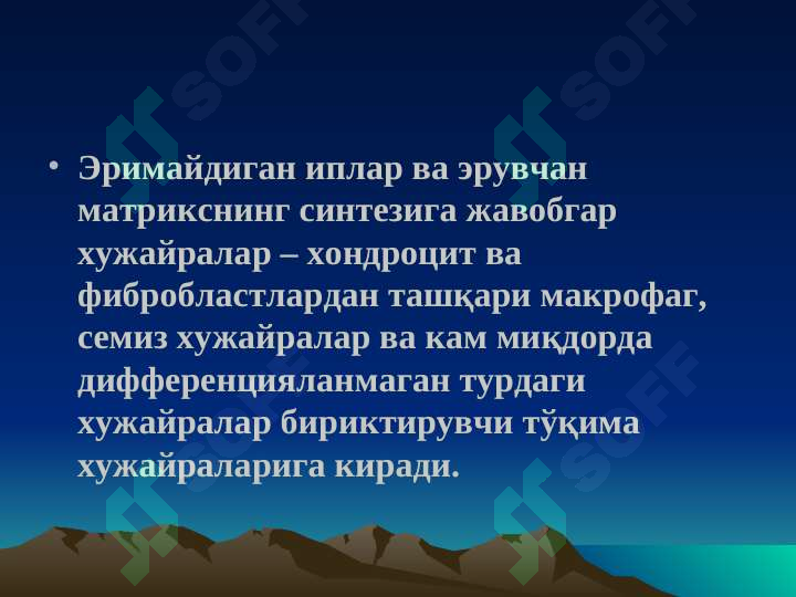 Preview 5