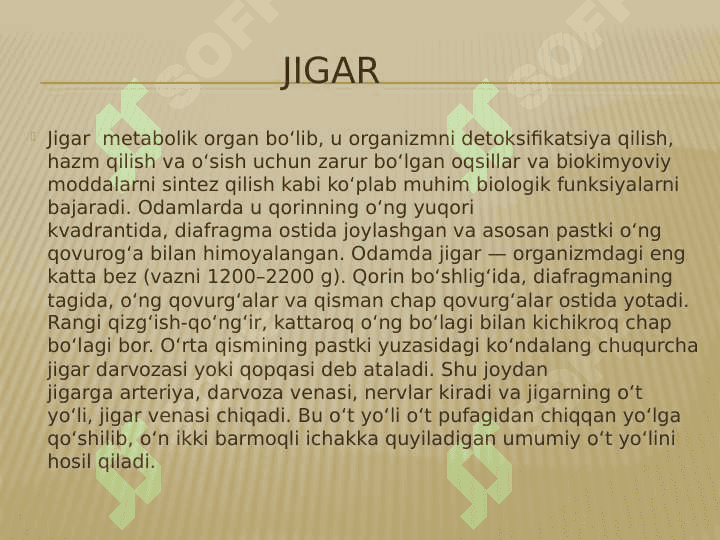 Jigar va o‘t qopining anatomo-fiziologik xususiyatlari 3