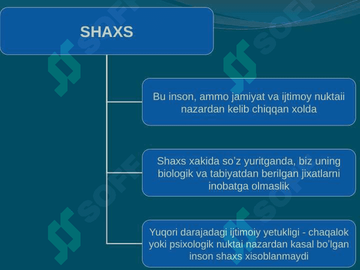 Shaxs strukturasi 3