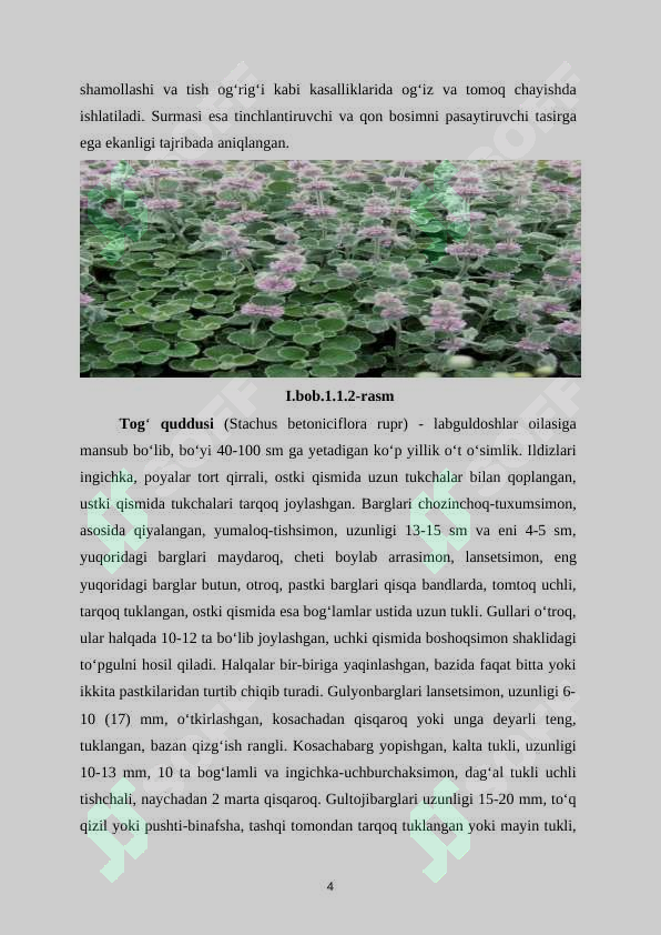 Preview 5