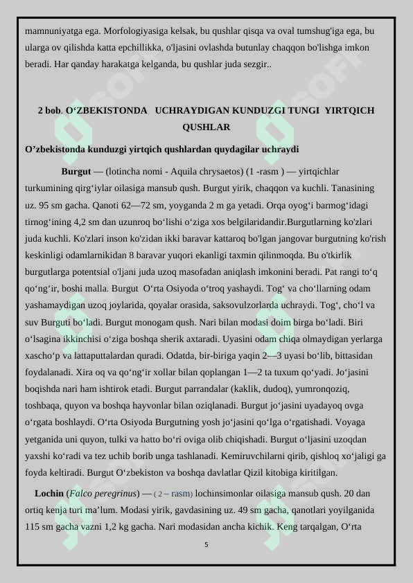 Yirtqich qushlar va ularning sanitarlik xususiyati 5