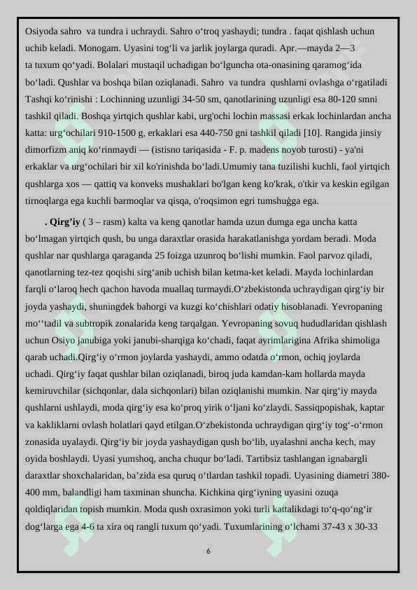Yirtqich qushlar va ularning sanitarlik xususiyati 6