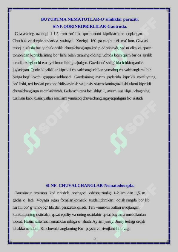 Preview 8