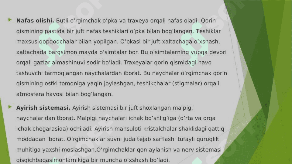 O‘rgimchaksimonlarning tuzilishi va xayotiy jarayonlari 6