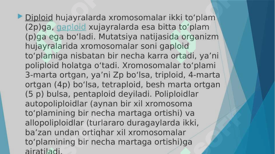 Preview 7