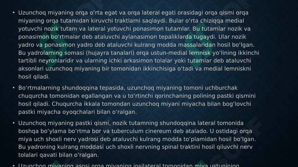 Preview 5