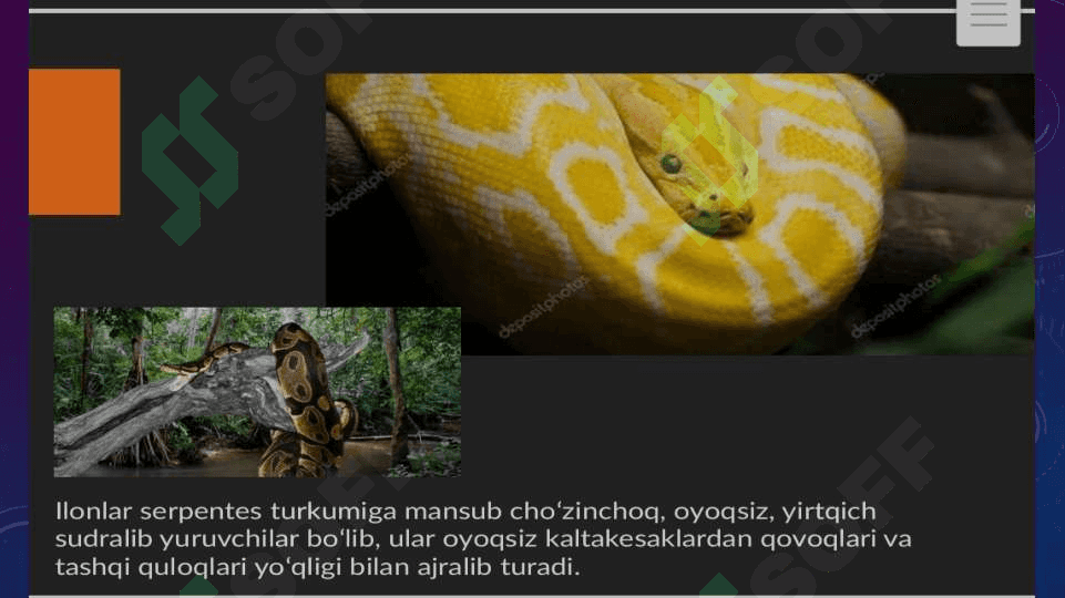 Ilonlar tuzilishi va hayot kechirishining ahamiyati 3