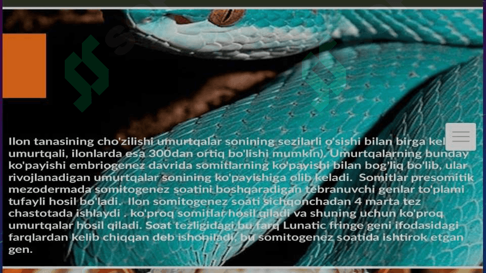 Ilonlar tuzilishi va hayot kechirishining ahamiyati 5