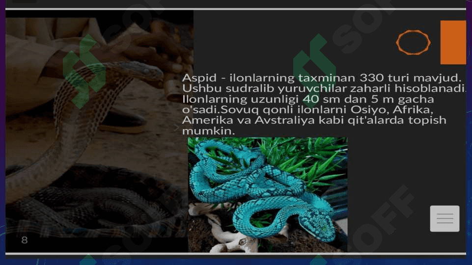 Ilonlar tuzilishi va hayot kechirishining ahamiyati 8