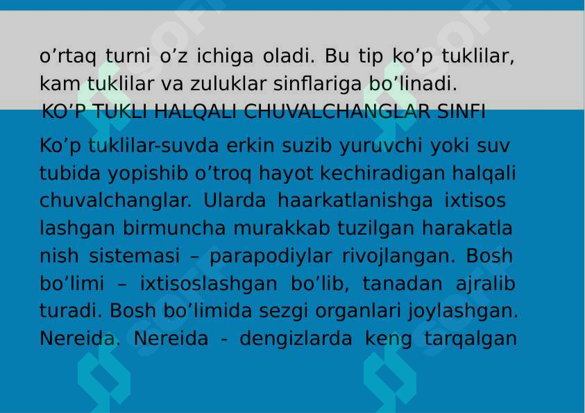 Preview 5