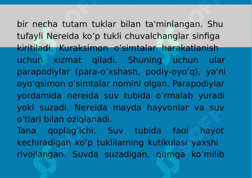 Preview 7