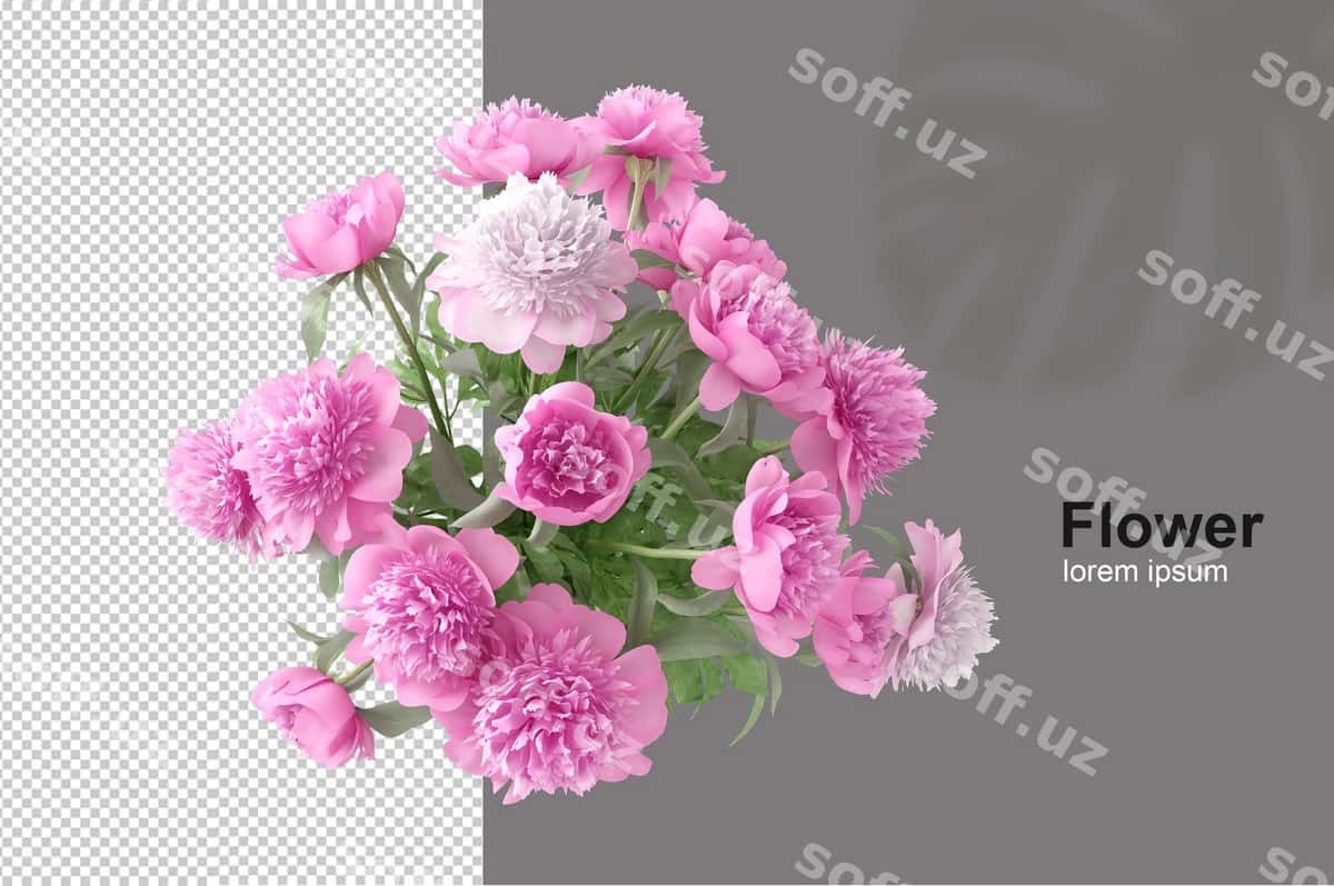 Gullar savati 3d renderlash | Flower basket 3d rendering 1