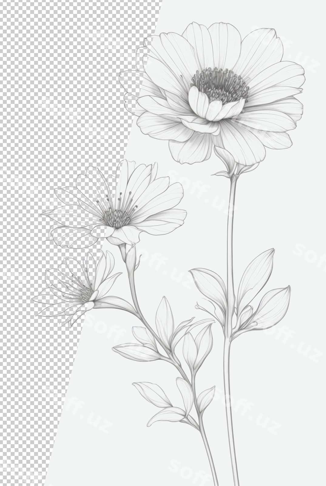 Gul chiziqlari san'ati qora qalam | Flower line art black pencil 1