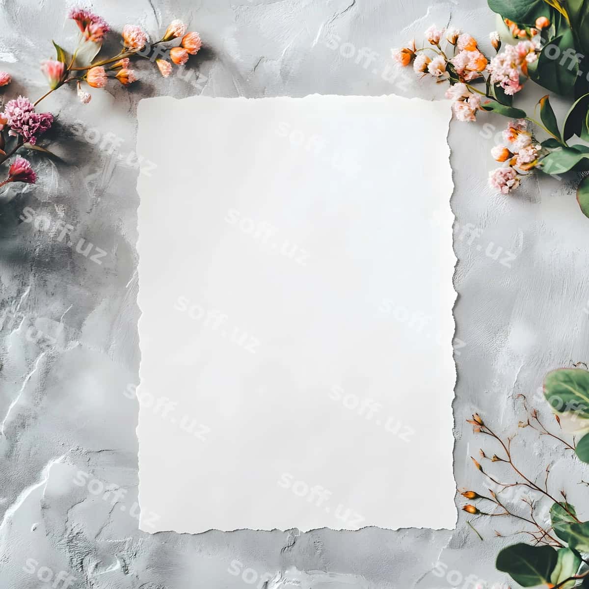 Gullar bilan bo'sh varaq | Flowers with blank paper 1