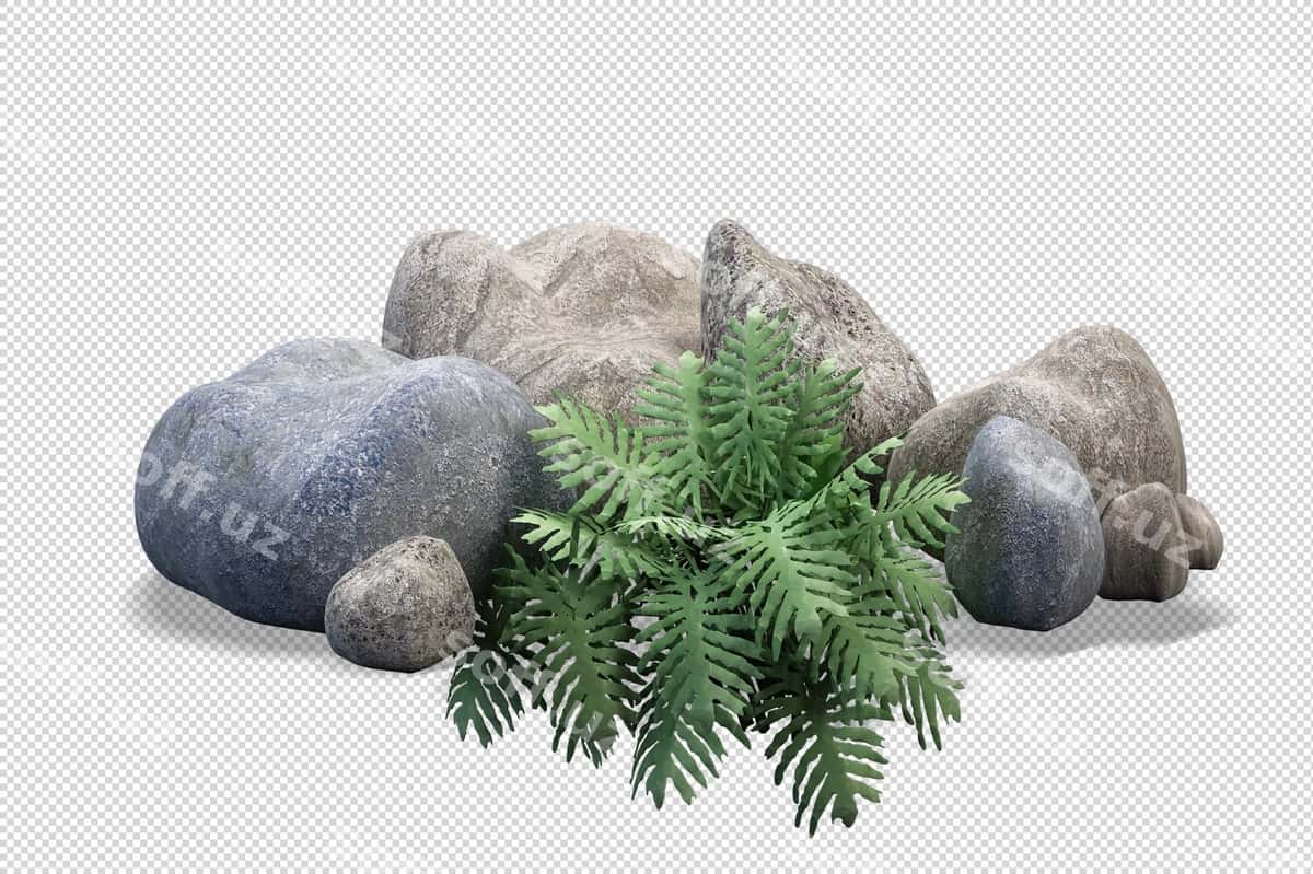 Old kamera kichik bog 'butalari | Front camera small garden shrubs 1