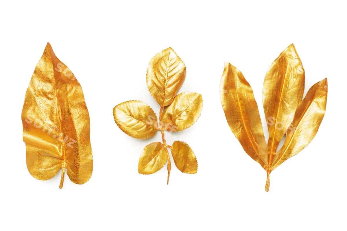 Oltin varaq dizayn elementlari | Golden leaf design elements 1