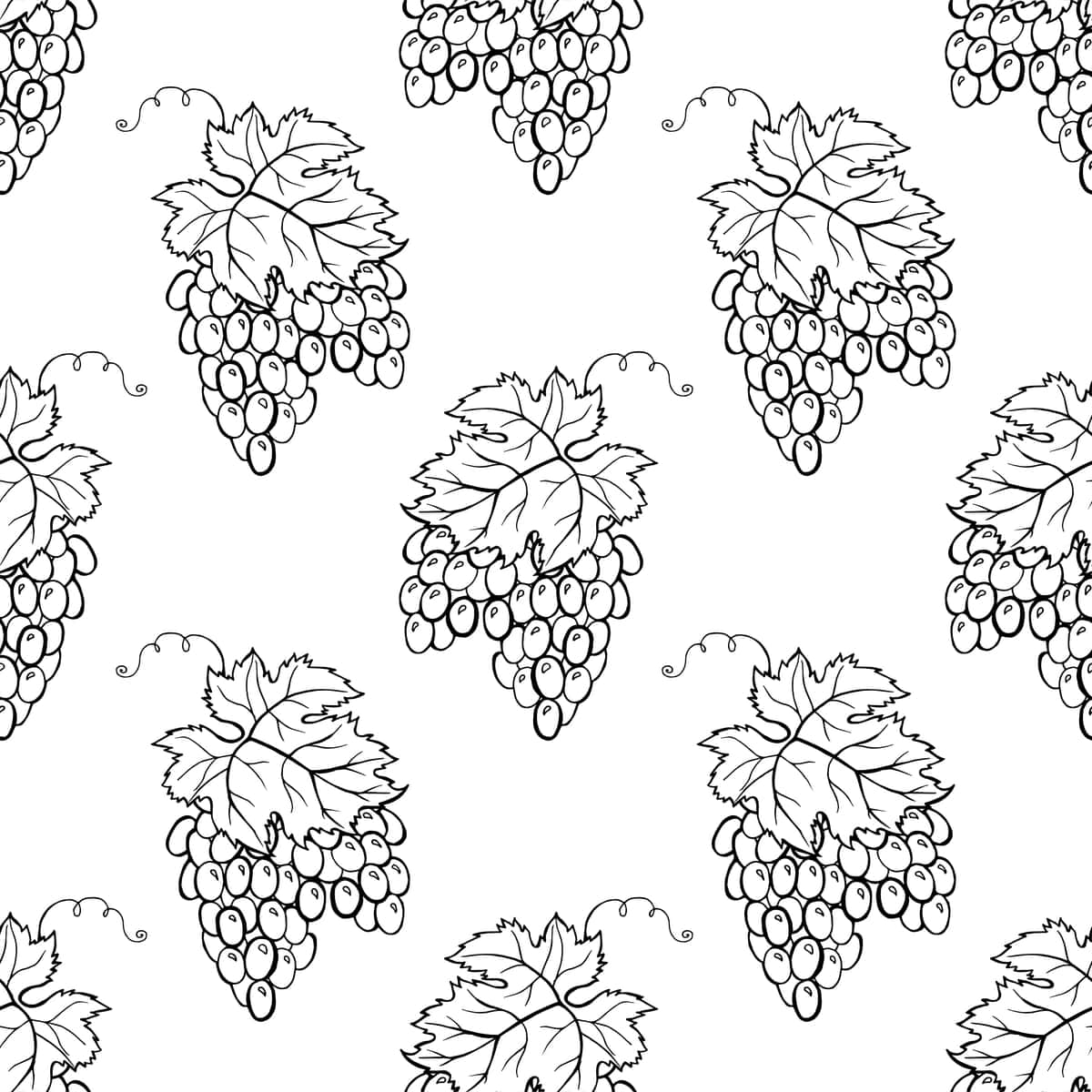Vektor uzum uzumlari qo'lda chizilgan elementlar bilan choksiz naqshli fon | Vector grape vines seamless pattern background with hand drawn elements 1