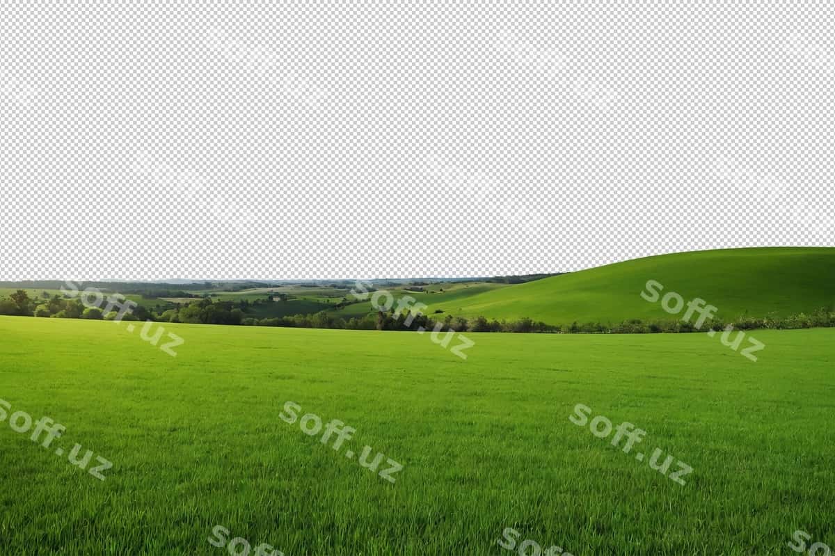 Yashil maydon | Green field 1