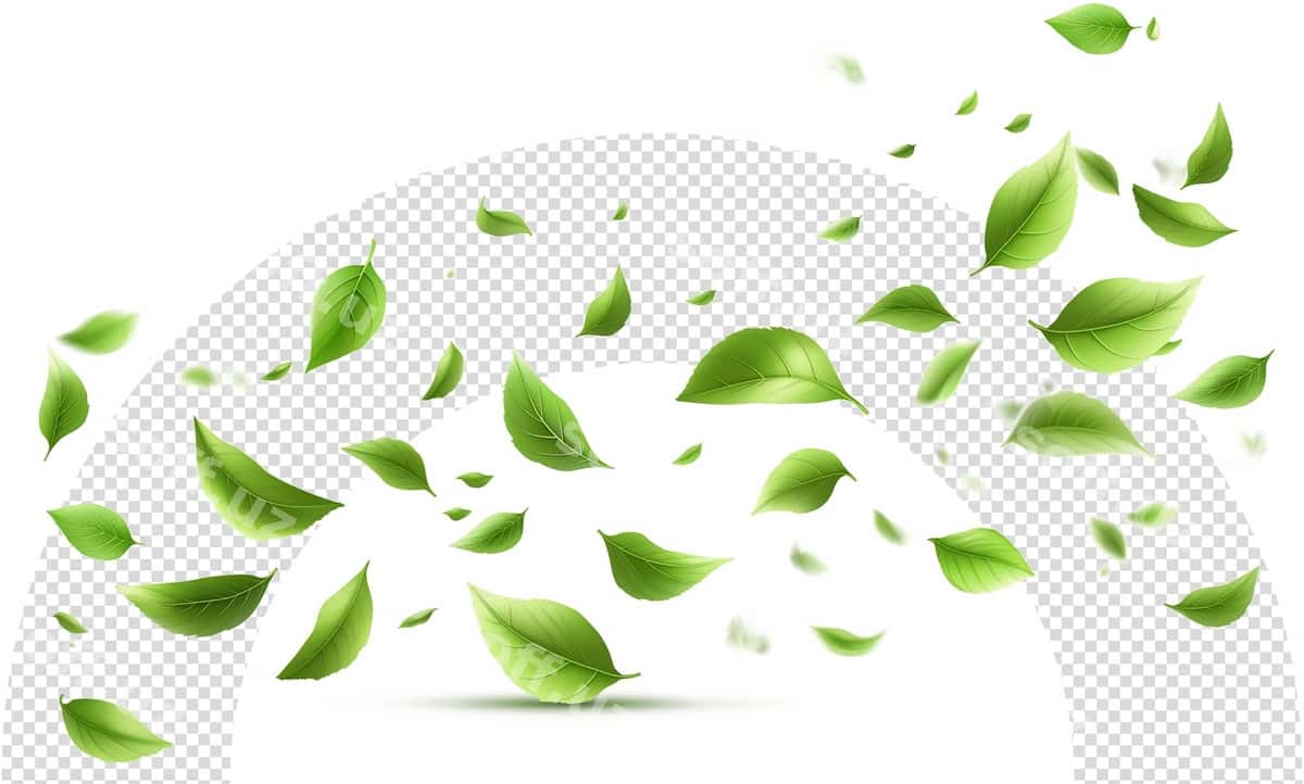 Yashil varaqlar havo ichida uchmoqda | Green leaves flying air 1