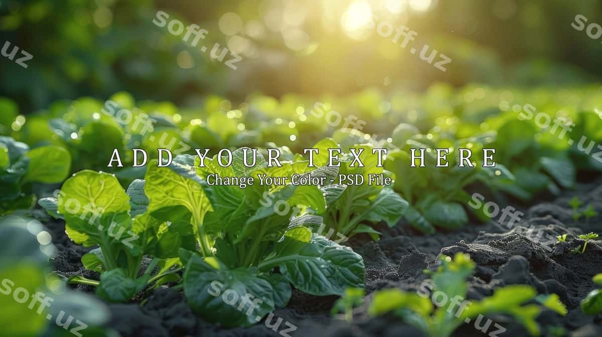 Yashil o'simliklar quyosh chiriyoti | Green plants sunlight 1
