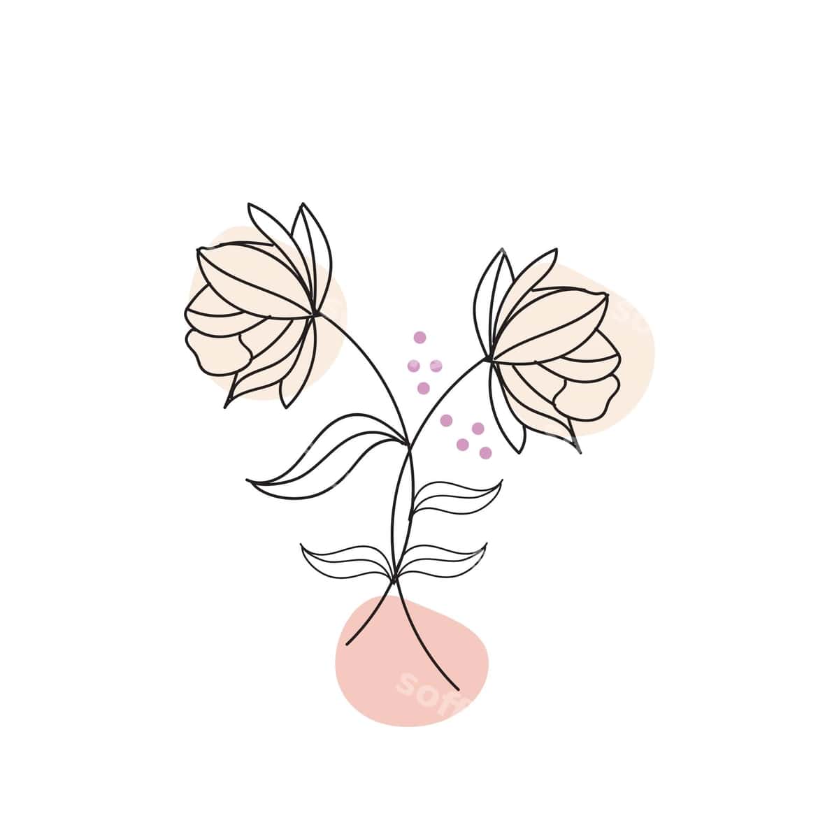 Qozib chizilgan gul ekulligi | Hand drawn flower collection 1