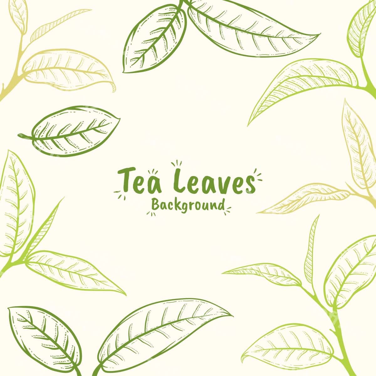 Qo'l bilan chizilgan choy barg'i illustratsiyasi | Hand drawn tea leaf illustration 1