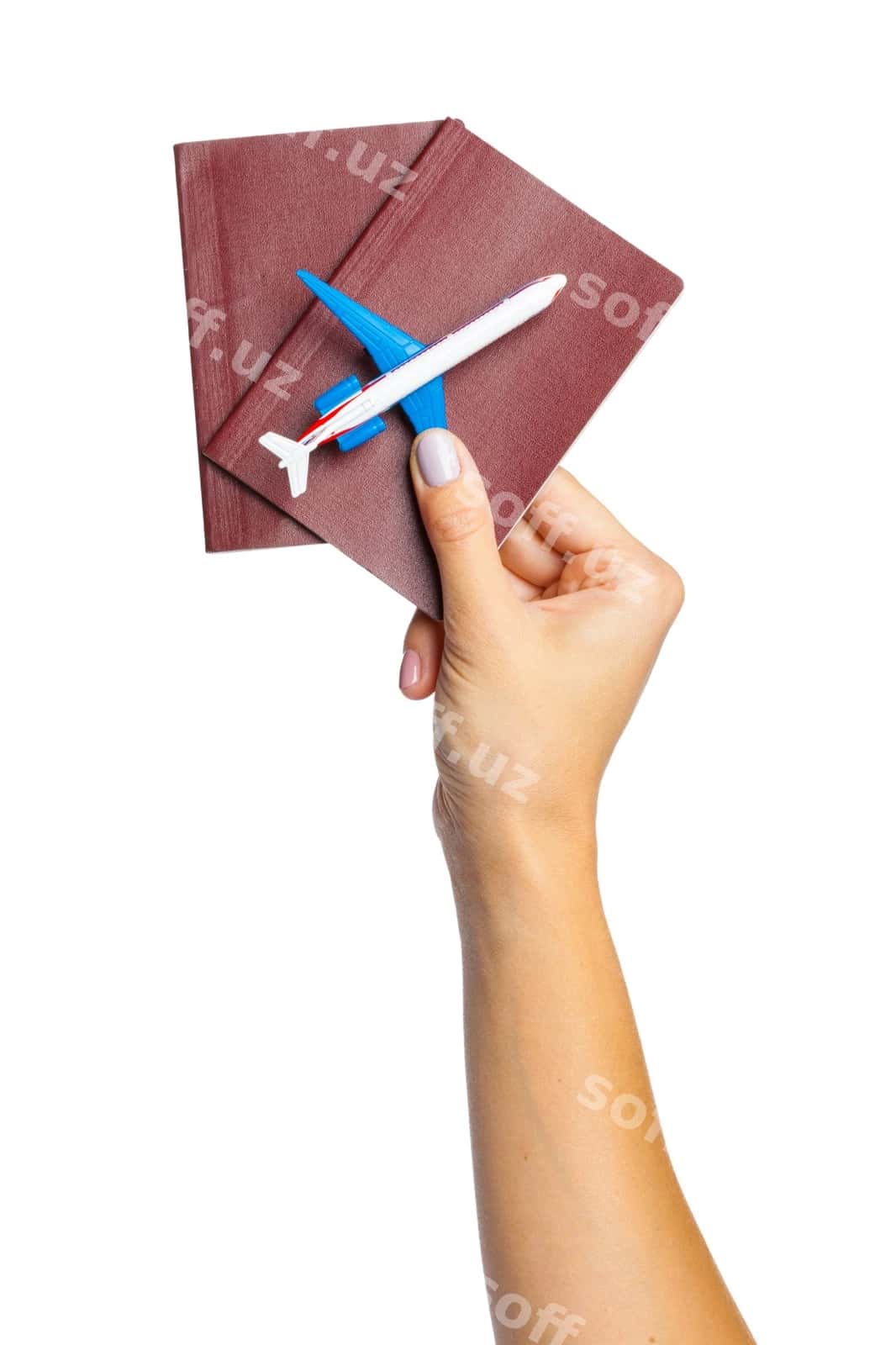 Qoliq pasportni tutgan, oq ajraltirilgan | Hand holding passport isolated white 1
