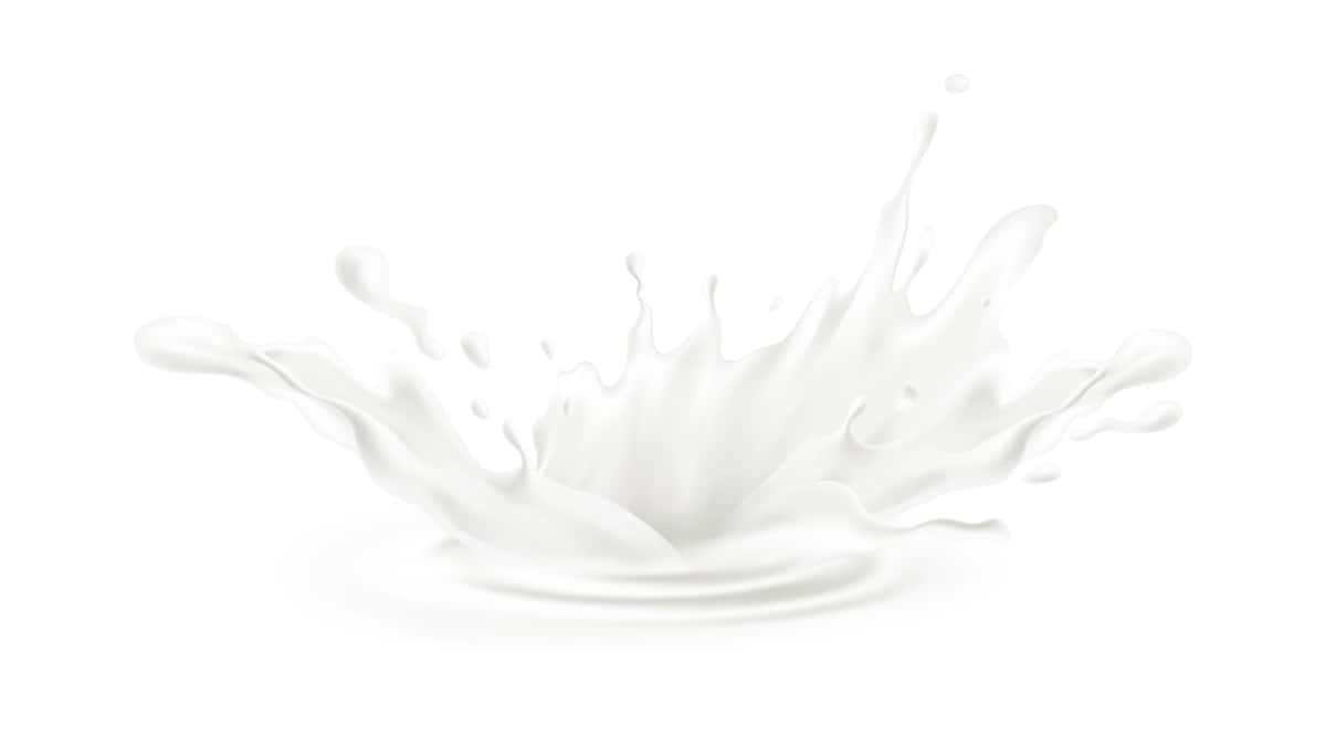 Rasm oq sut | Illustration white milk 1