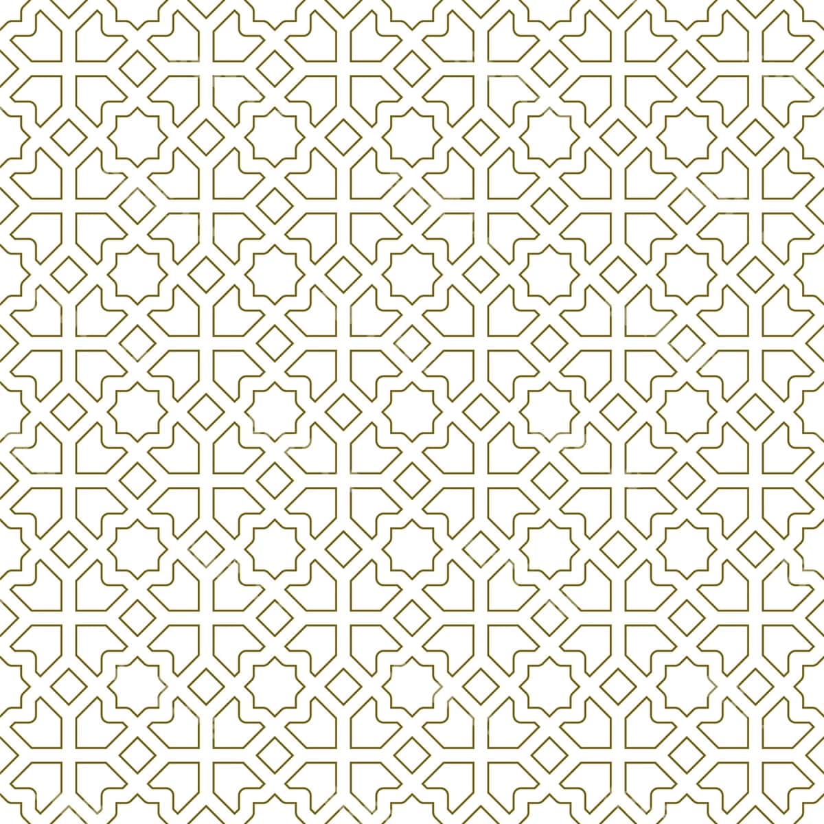 Murakkab islom geometrik naqsh | Intricate islamic geometric pattern 1