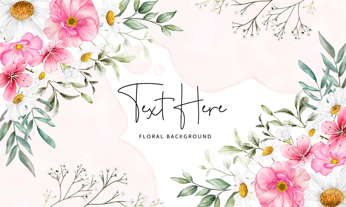 Chiroyli akvarel ko'knori romashka gul foni | Beautiful watercolor poppy daisy flower background 1