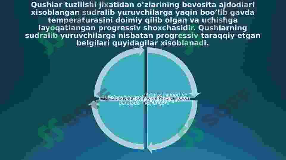 Qushlar sinfi (aves) va sistematikasi. Qushlarning tashqi va ichki tuzilishi. Qushlarning ekalogiyasiva amaliy ahamiyati, Qushlarning kelib chiqishi va evolyusiyasih 2