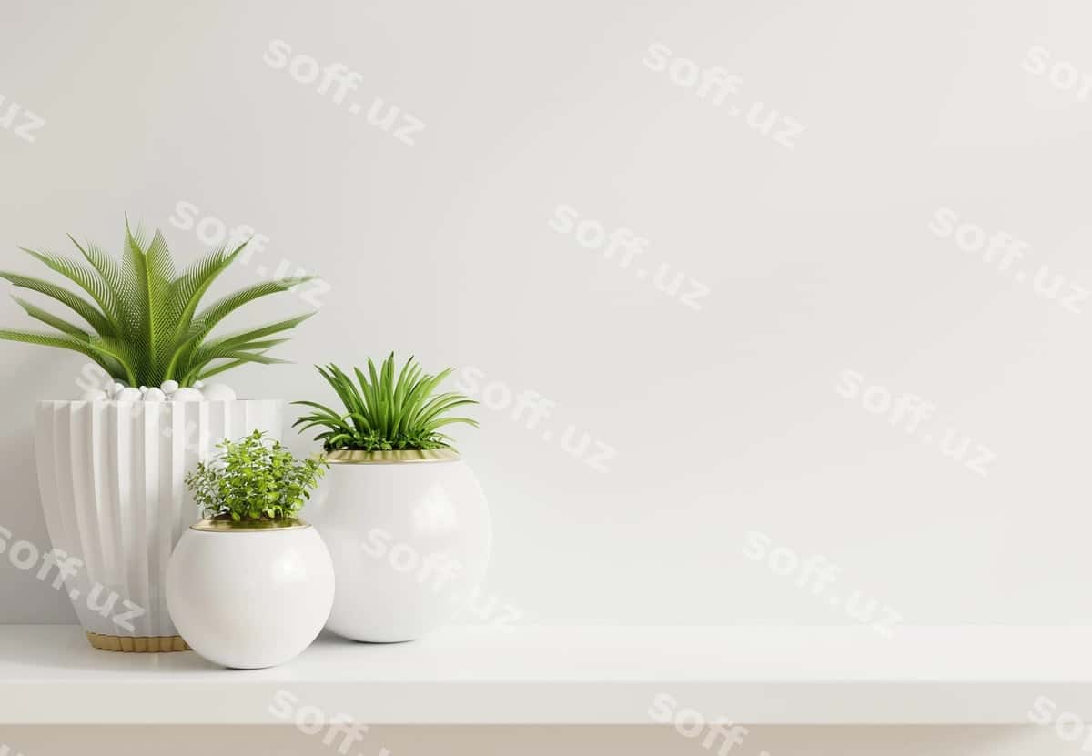 Namuna devor o'simliklar rafli | Mockup wall with plants shelf 1