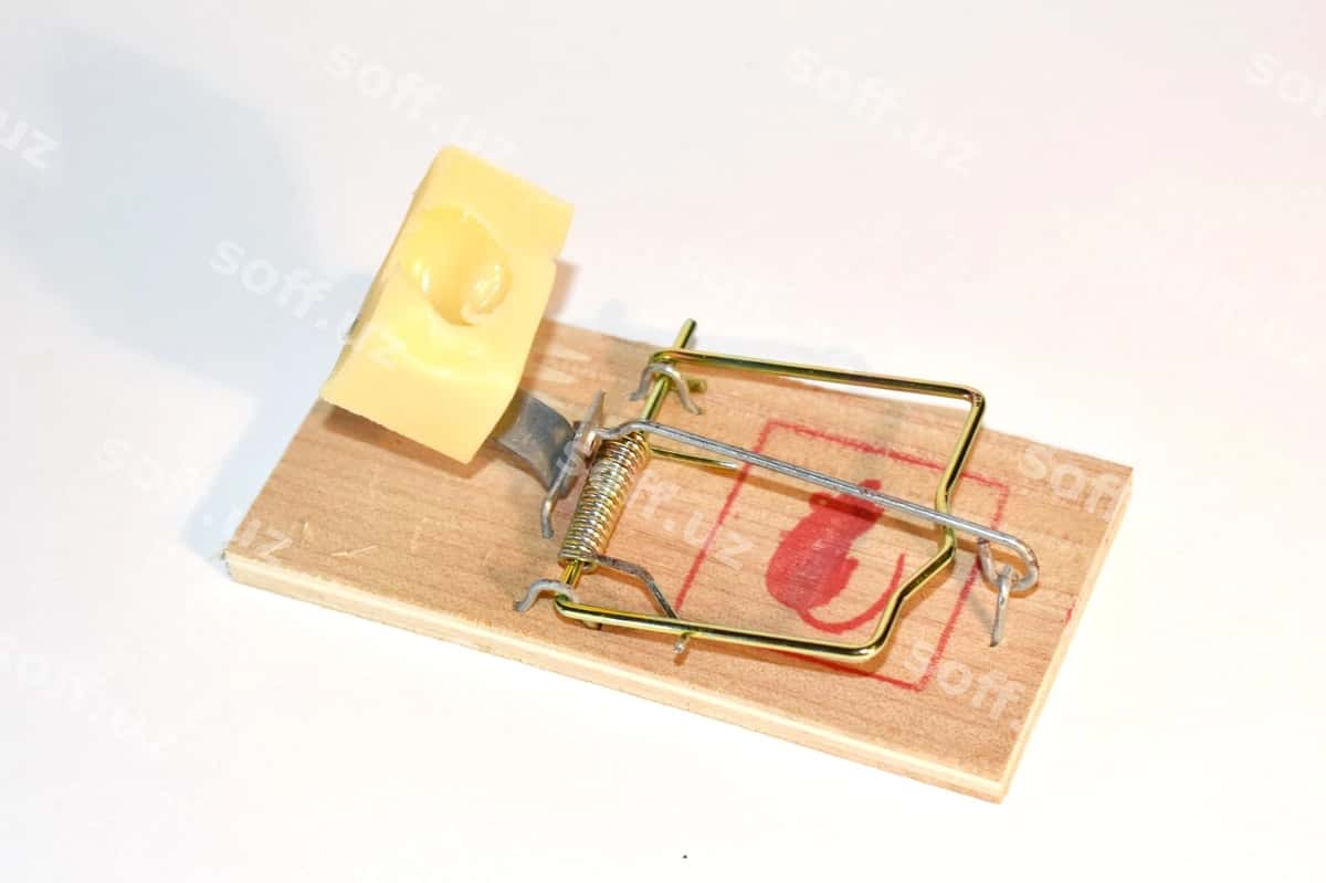 Sichqon tutqichi pishloq bilan xavfli tutqichi | Mousetrap with cheese dangerous trap 1