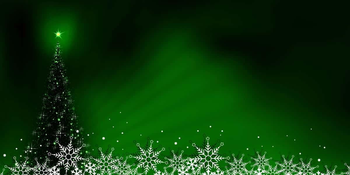 Chiroyli Rojdestvo daraxti porlashi bilan Rojdestvo yashil kompozitsiyasi | Christmas green composition with beautiful christmas tree shining 1