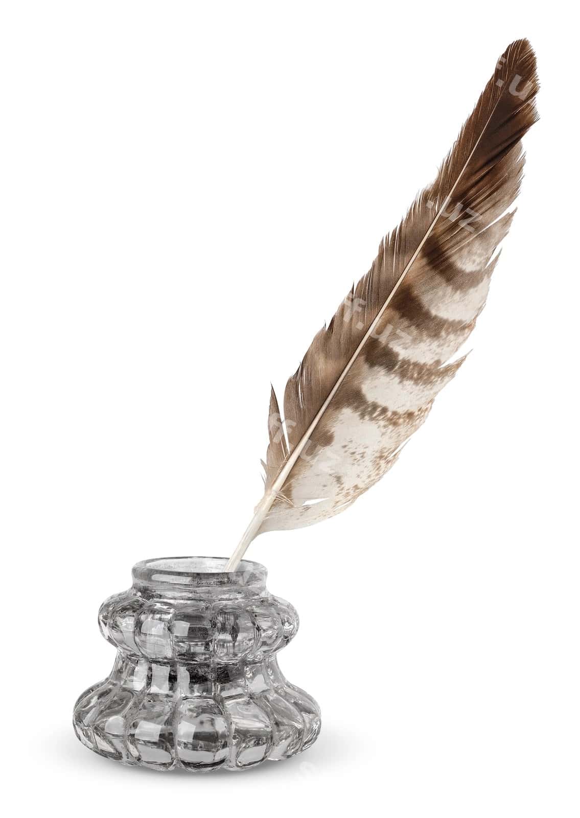 Eski qalamdaftari yakka oq qalam | Old inkstand quill isolated white 1