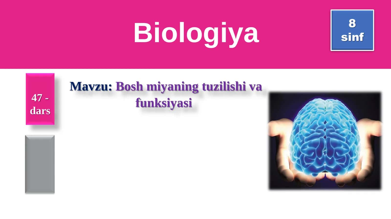 8-Sinf Biologiya: “Bosh Miyaning Tuzilishi va Funksiyasi” Taqdimot 1