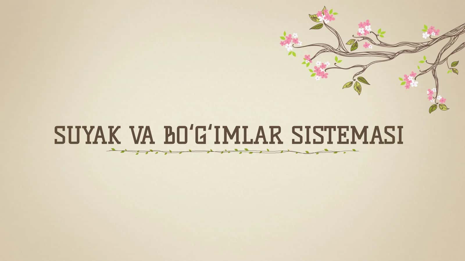 SUYAK VA BOʻGʻIMLAR SISTEMASI 1