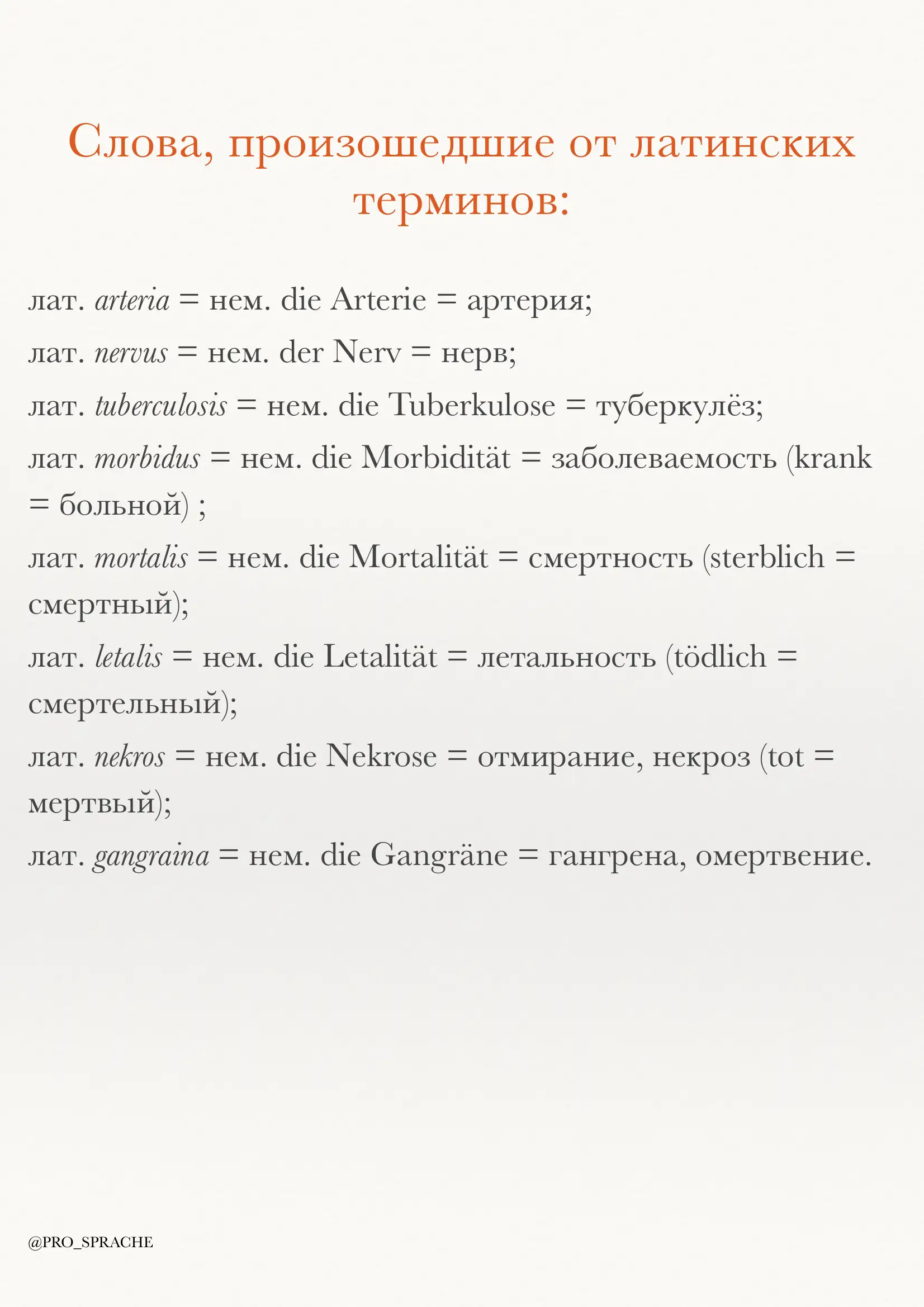 So'zlar nemis rus tili 1