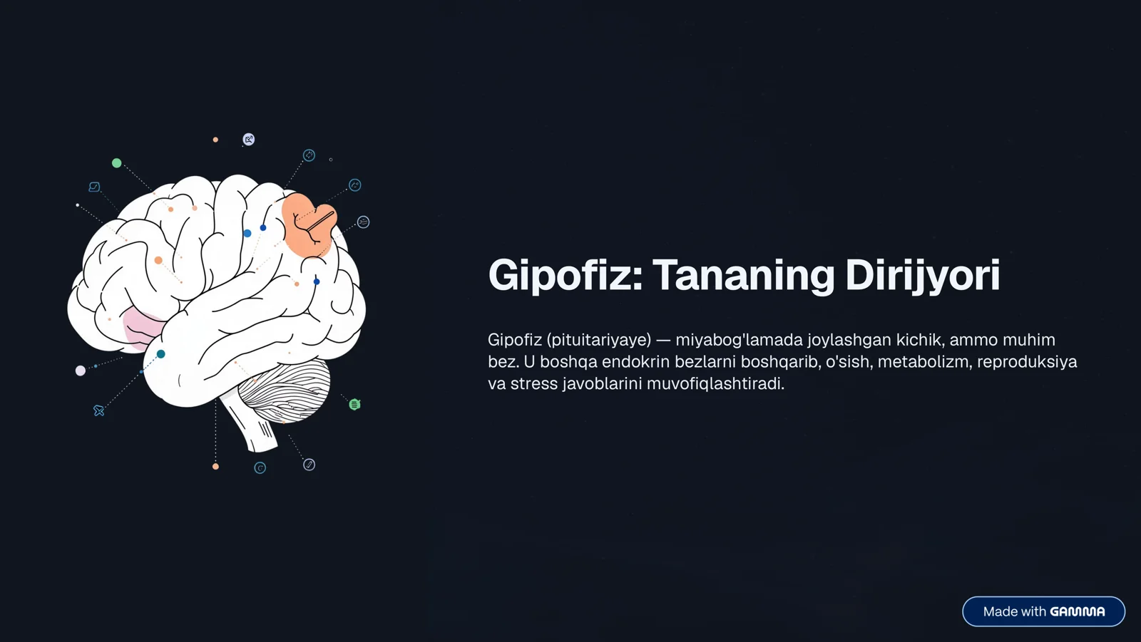 Gipofiz: Tananing Dirijyori 1
