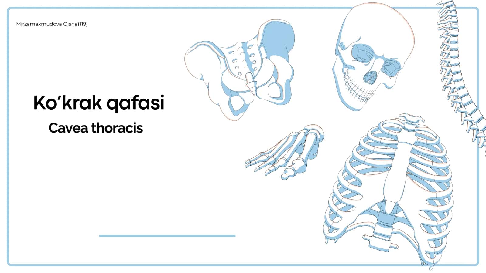Ko’krak qafasi 1