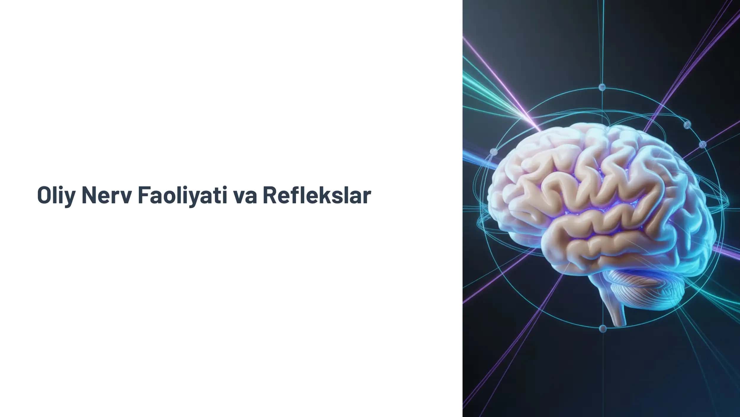 Oliy Nerv Faoliyati va Reflekslar 1