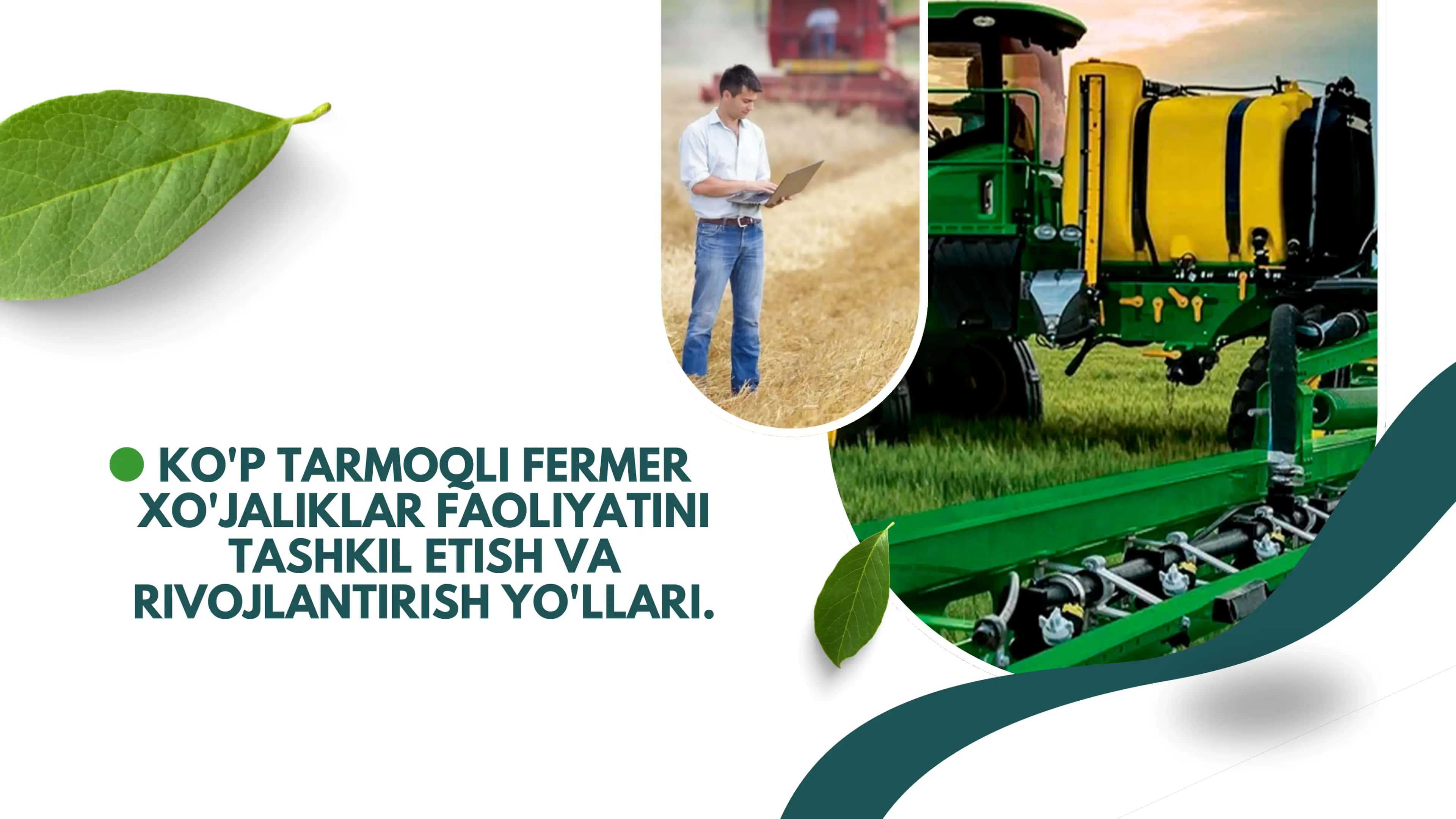 Ko'p tarmoqli fermer xo'jaliklar faoliyatini tashkil etish va rivojlantirish yo'llari 1